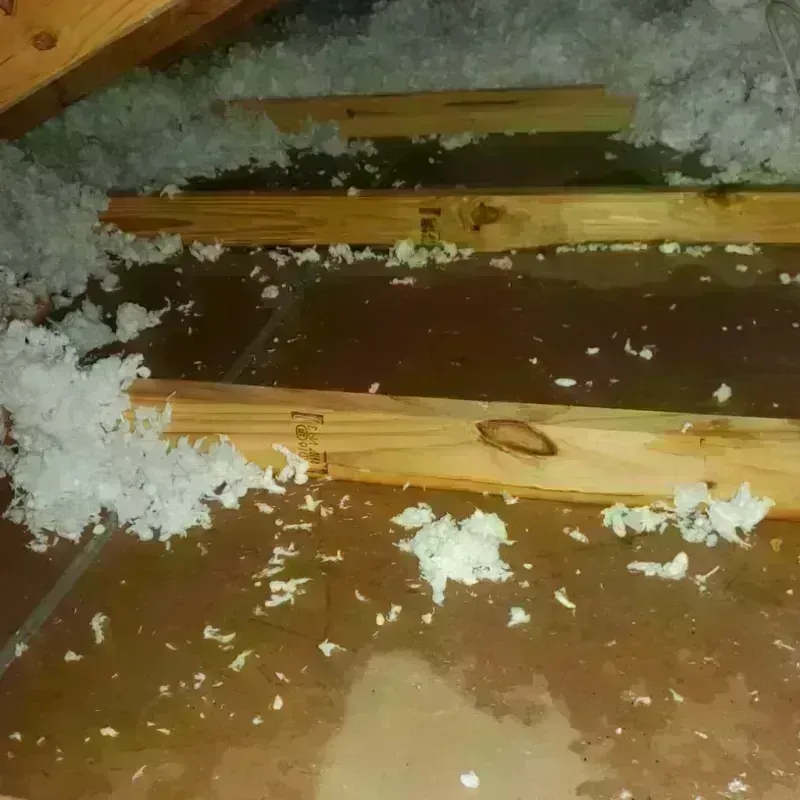 Attic Water Damage in Allen Park, MI