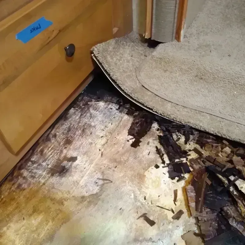 Wood Floor Water Damage in Allen Park, MI